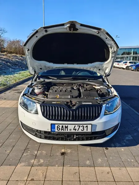 Škoda Octavia 2.0 TDI, 135kW 4x4 DSG L&K NEZÁV.TOPENÍ 4