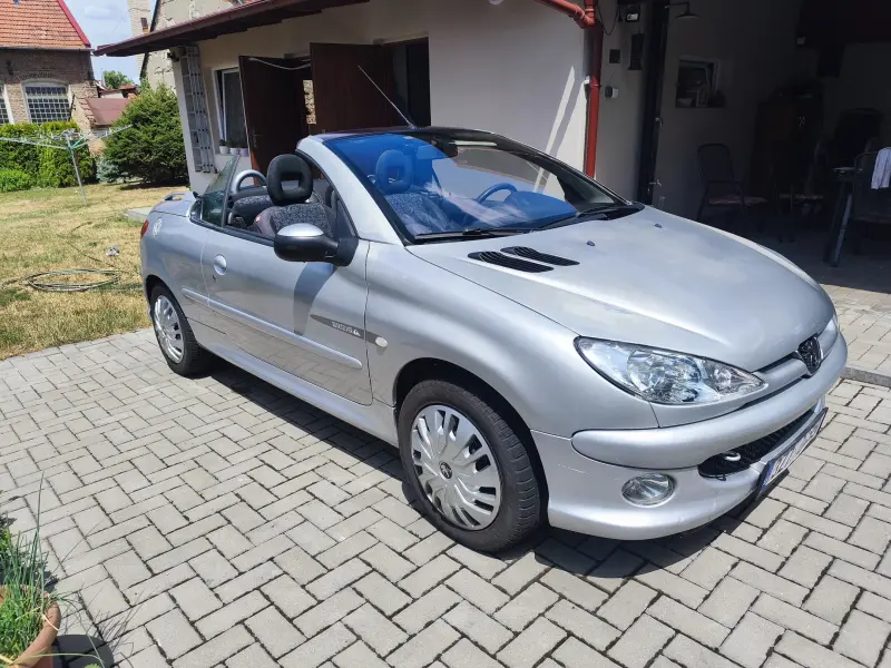 Peugeot 206  6